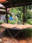 0D757740-2DC9-47BF-85A8-FB13D0959652.jpeg
