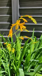 20210710_162615.webp