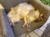 20210710_180148.jpg