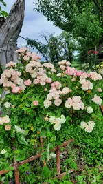 20210707_180521 (1).webp