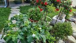 20210710_075741.jpg