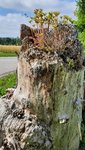 20210710_093259.jpg