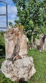 20210710_093316.webp