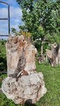 20210710_093316.jpg