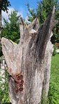 20210710_093243.jpg