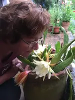 32067E2B-2266-44A9-9DA4-70F268ED15BB.webp 32067E2B-2266-44A9-9DA4-70F268ED15BB.webp