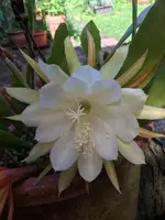 0D00A5DE-1CC0-44AC-AAD3-0A7A9BDAA14C.webp 0D00A5DE-1CC0-44AC-AAD3-0A7A9BDAA14C.webp