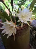 36E8445D-C35D-4753-BD24-BBE65DDB85D7.webp 36E8445D-C35D-4753-BD24-BBE65DDB85D7.webp