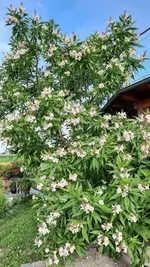 20210710_080137.webp