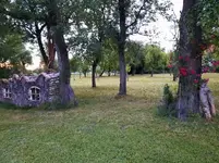 20210706_210834 v.jpg