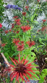 20210710_090515.webp