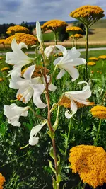 20210710_090248.webp