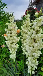 20210710_074953.webp