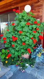 20210710_183400.webp