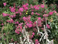 IMG_8972.webp