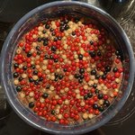 IMG_4576.jpg