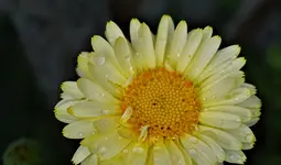2021blmn94.webp