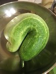 18E02737-6D42-47C0-B0BC-5314512F5155.jpeg