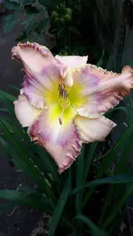 20210711_100417.webp