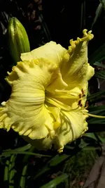 20210711_100501.webp