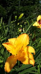 20210711_100636.jpg