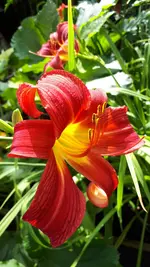 20210710_115709.webp