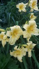 20210708_202449.webp