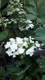 20210711_100207.webp
