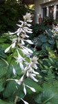20210711_100335.jpg
