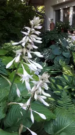 20210711_100335.webp