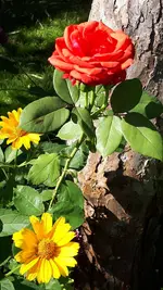 20210711_100833.webp