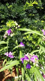 20210710_124604.webp