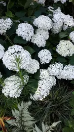20210711_100158.webp