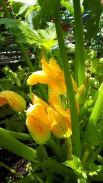 20210710_115715.jpg