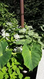 20210711_100142.webp