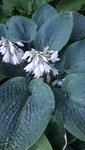 20210708_202540.jpg