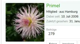 primel.PNG