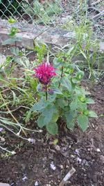 20210710_204415.webp
