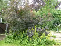 P1040580.webp