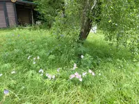 P1040583.webp