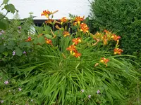 P1040616.webp