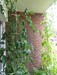 P1040629links der Tür.JPG
