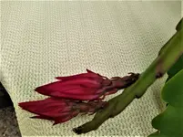 IMG_20210712_122936.webp IMG_20210712_122936.webp