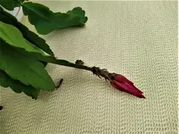 IMG_20210712_122923_1.webp IMG_20210712_122923_1.webp