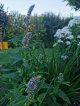 IMG_20210712_193648.png