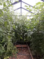 20210711_101942.webp
