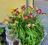 20210713_093250.webp