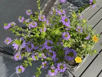 4BB30B82-E346-4250-B3A4-BE611EB9C8AB.webp