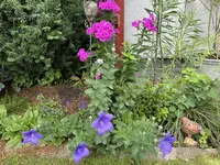 B3DA5634-A5F6-4239-A458-B3CD84BCBD17.webp