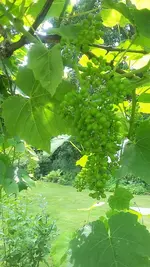 20210713_130836.jpg